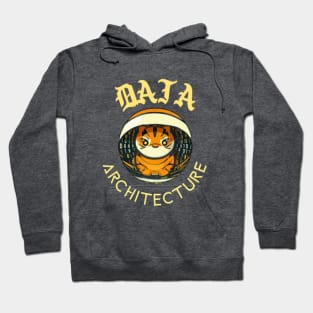 Data Architecture Hoodie